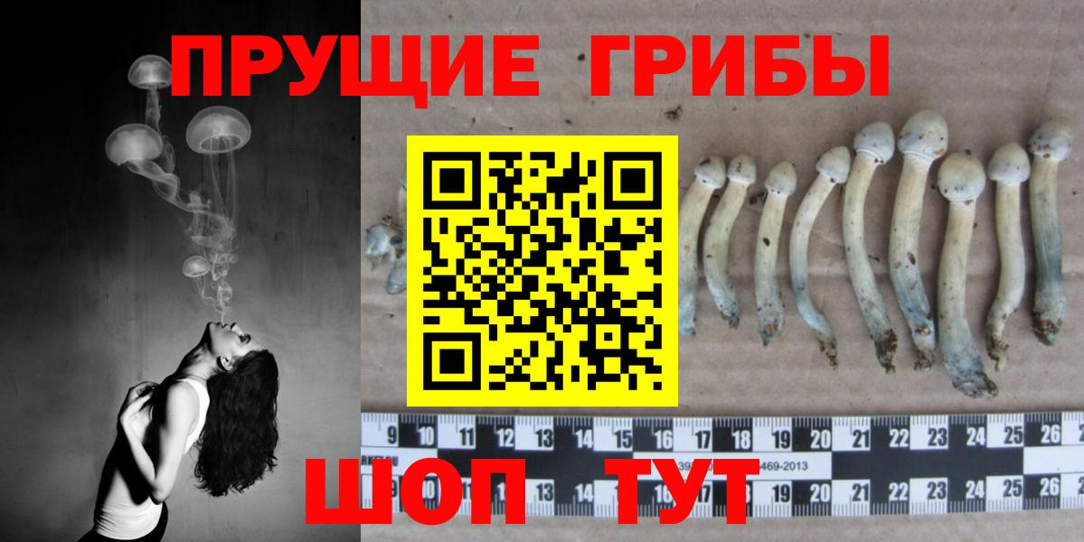 закладка  Псилоцибиновые грибы мухоморы  Вход с VPN  Артём  Псилоцибиновые грибы прущие грибы 