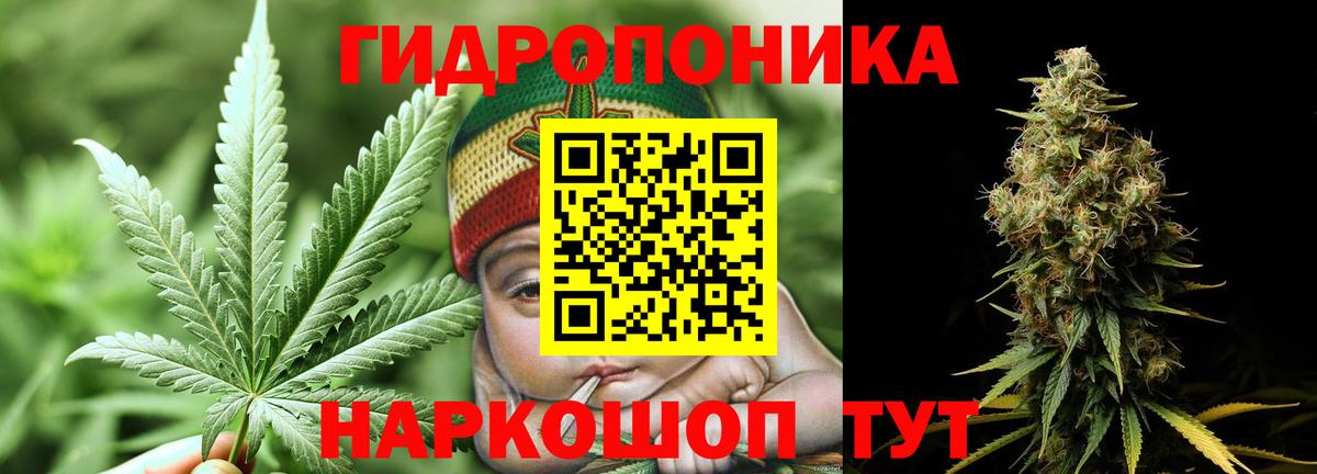 Шишки марихуана планчик Артём